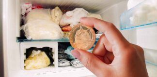 Prima di partite in vacanza ho messo il freezer in salvo, è stato sufficiente usare una moneta - RicettaSprint