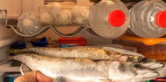 Pesce fresco più a lungo, il mio pescivendolo di fiducia mi ha rivelato 3 dei suoi segreti - RicettaSprint
