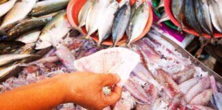 Pesce low cost, ecco cosa portare in tavola senza spendere un occhio dalla testa - RicettaSprint