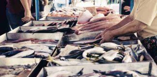 Mercurio nel pesce spada di provenienza spagnola, subito richiamo alimentare