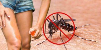 Qual è il prodotto più efficace contro le zanzare?