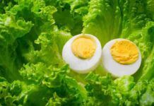 Insalata con mollica, tonno e uova: 220 kcal insalata tonno e uovo