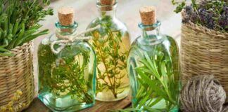Non comprare nessuno spray antizanzare, con il rimedio della nonna lo fai a casa con le erbe aromatiche, sicuro ed efficace pure per i bambini