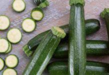 Le 5 migliori ricette con le zucchine imperdibili, provale già da oggi saranno un successone le migliori ricette di zucchine