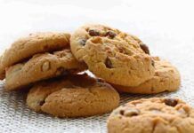 Semola nocciole e latte, questi biscotti sono una carezza al cuore: 140 kcal di grande felicità Biscotti nocciole e cioccolato