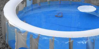 Come pulire ed igienizzare una piscina gonfiabile I consigli dell'esperto per non commettere errori