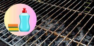 Come pulire la griglia del barbecue in poco tempo e senza stress, la soluzione te la do io è a costo zero