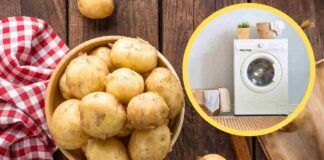 Tutti stanno mettendo le patate nella lavatrice, il pericoloso trend ci sta mettendo in serio pericolo - RicettaSprint