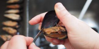 Come lavare le cozze del supermercato?