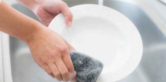 Prendi una spugna a mettila dentro il microonde: quello che succede è davvero incredibile! Non sprecare più i tuoi soldi - RicettaSprint