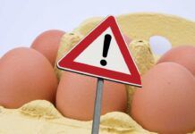 In che prodotti si trovano i PFAS? Ci sono anche le uova