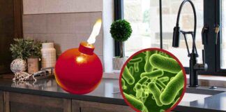 Come fare per annientare i batteri in cucina e dove si trovano di più