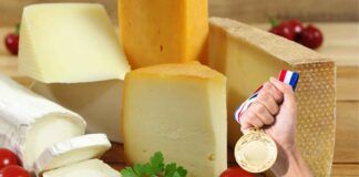 Concediti solo il top: ecco la classifica definitiva dei formaggi migliori da mangiare a dieta - RicettaSprint