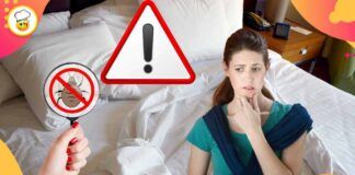 Come individuare le cimici da letto Ecco i segnali da non sottovalutare mai!