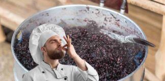 Come cucinare il riso venere