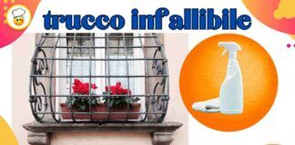 Inferriate e finestre sporche e piene di polvere Ti svelo un trucchetto le farà brillare come non mai