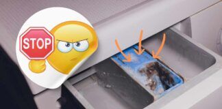 La muffa nella vaschetta della lavatrice non si formerà più, ti svelo il mio trucchetto infallibile Ricettasprint