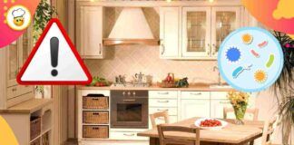 Le 5 cose più sporche che stanno in cucina, sono un vero e proprio ricettacolo di germi e batteri