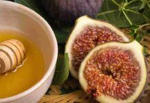 Mousse di miele e fichi, basta affondare il cucchiaio per capire la differenza: è tutto naturale e bellissimo Mousse di miele e fichi