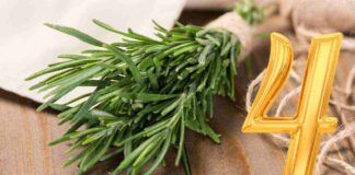 Come usi il rosmarino in cucina? 4 usi alternativi che sicuramente non conosci! - RicettaSprint