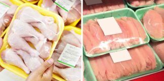 Che colore deve avere il petto di pollo?
