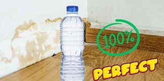 Quando c'è troppa umidita in casa?