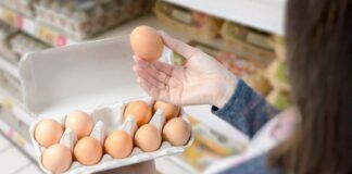 Quali uova scegliere al supermercato?