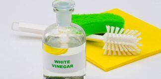Aceto in casa, 3 cose che non devi assolutamente pulire con questo o rovinerai tutto - RicettaSprint