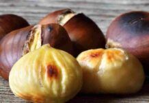 Caldarroste cotte nel sale