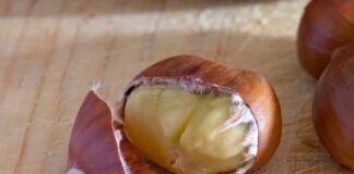 Castagna appena sbucciata