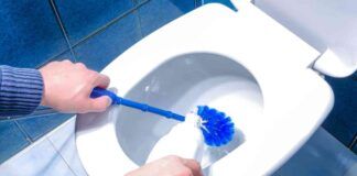 Macchie dentro il water, si tolgono solo se fai così, ormai il mio gabinetto brilla come una stella - RicettaSprint