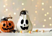 Ragnetti dolci di Halloween