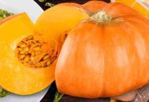 Zucca tutto l’anno: ho chiesto consiglio alla nonna, lei la prepara sott’olio e mi ha svelato tutto Zucca sott'olio