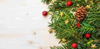 Dei ramoscelli di pino decorati per Natale