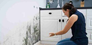 Muffa in casa, segreto per dirgli addio - RicettaSprint