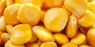 Come conservare i lupini Ricettasprint