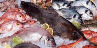 Come riconoscere il pesce fresco Ricettasprint