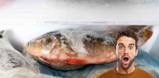 Pesce nel freezer - RicettaSprint