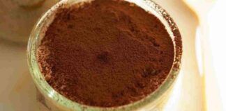 Semifreddo morbido al mascarpone