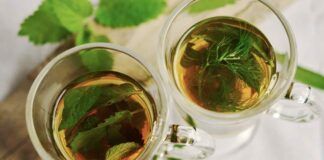 Tisana digestiva