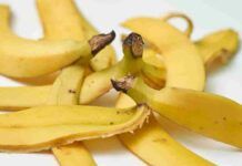 Infuso con bucce di banana - RicettaSprint