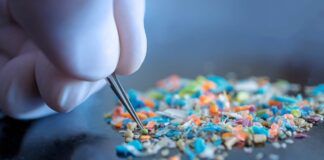 Microplastiche