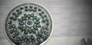 Muffa e calcare sul soffione della doccia Ricetta Sprint