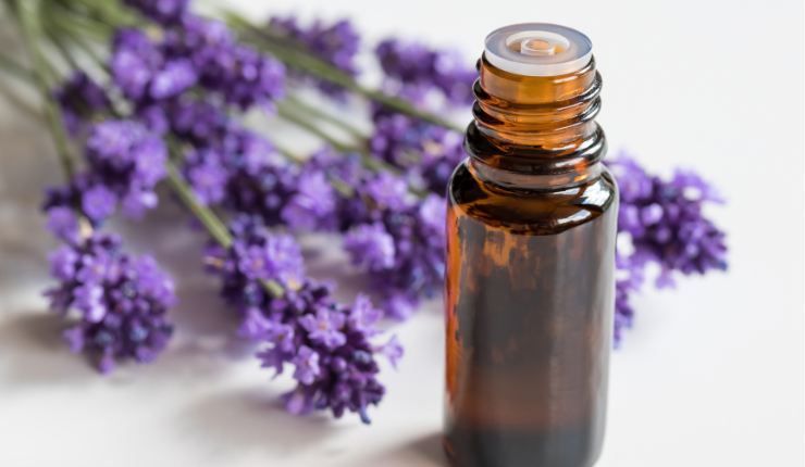 Olio essenziale a lavanda per purificare l'aria di casa RicettaSprint