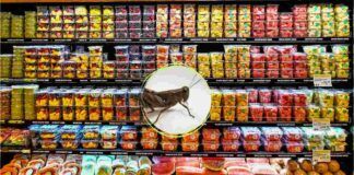 Prodotti supermercato insetti