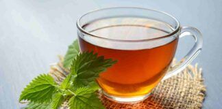 Tisana drenante all’ortica