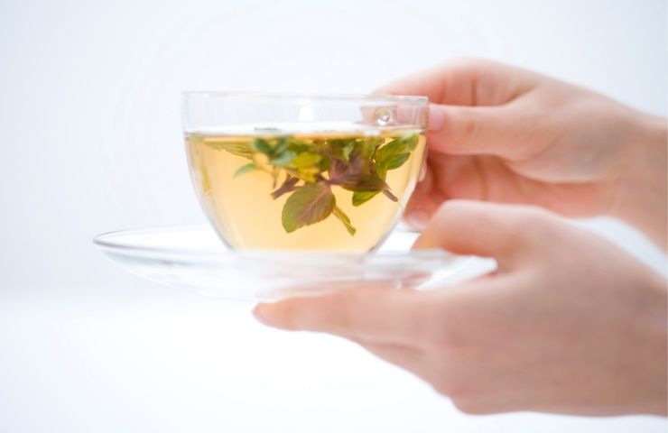 Tisana calda