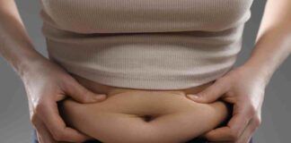 dieta della mela