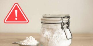 Conservare la farina bene Ricetta Sprint