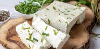 Formaggio spalmabile fai da te 2 ingredienti